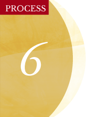 PROCESS06